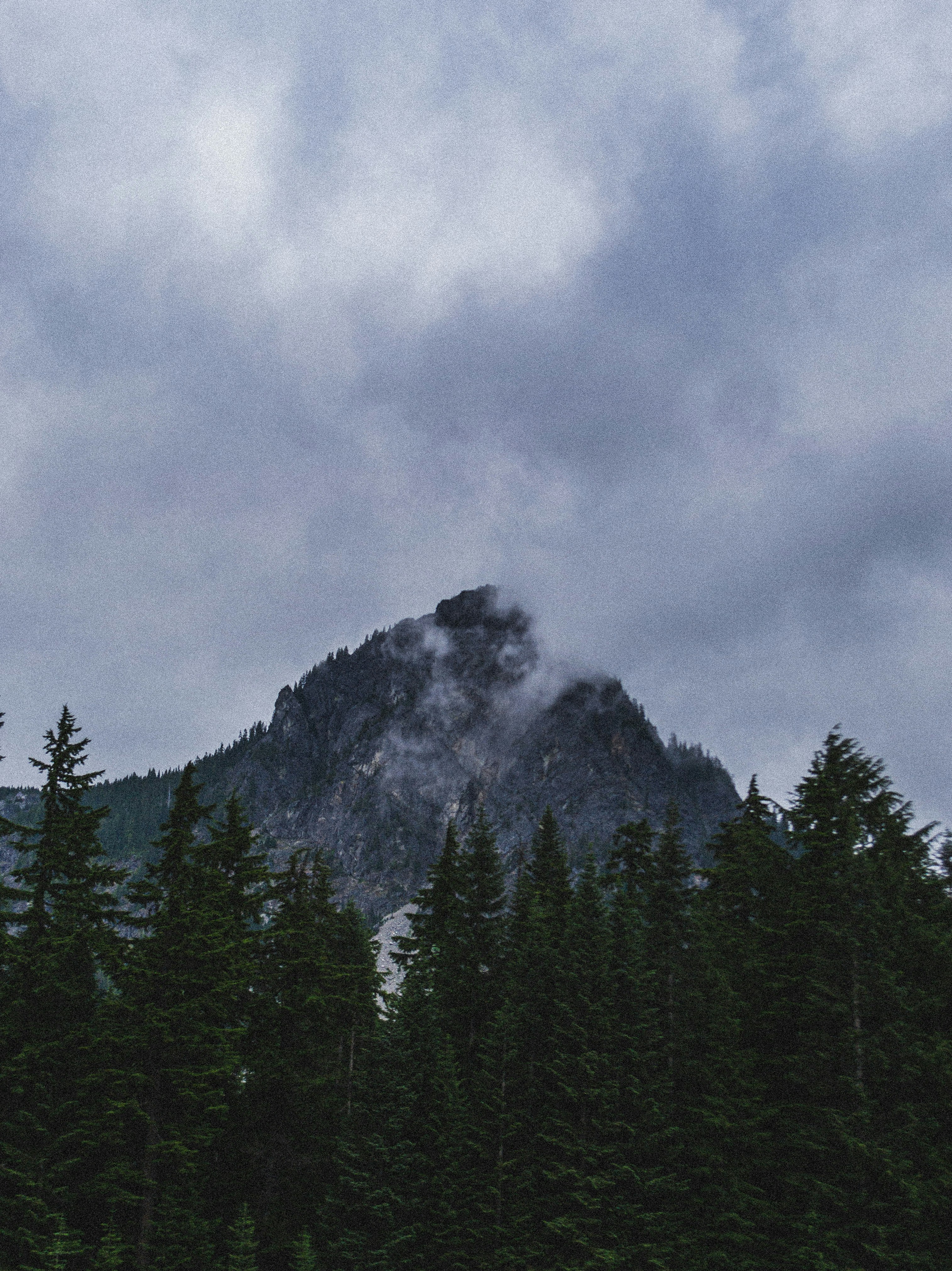 Photo by biancasaybe