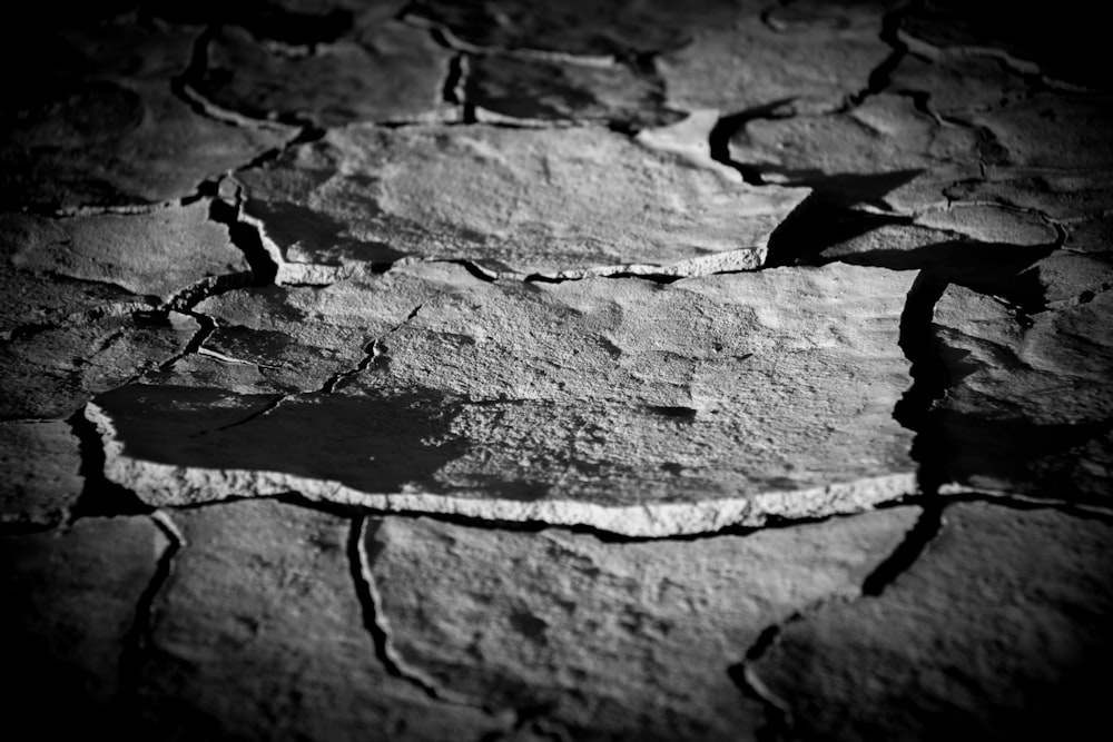 a black and white photo of a crack in the ground