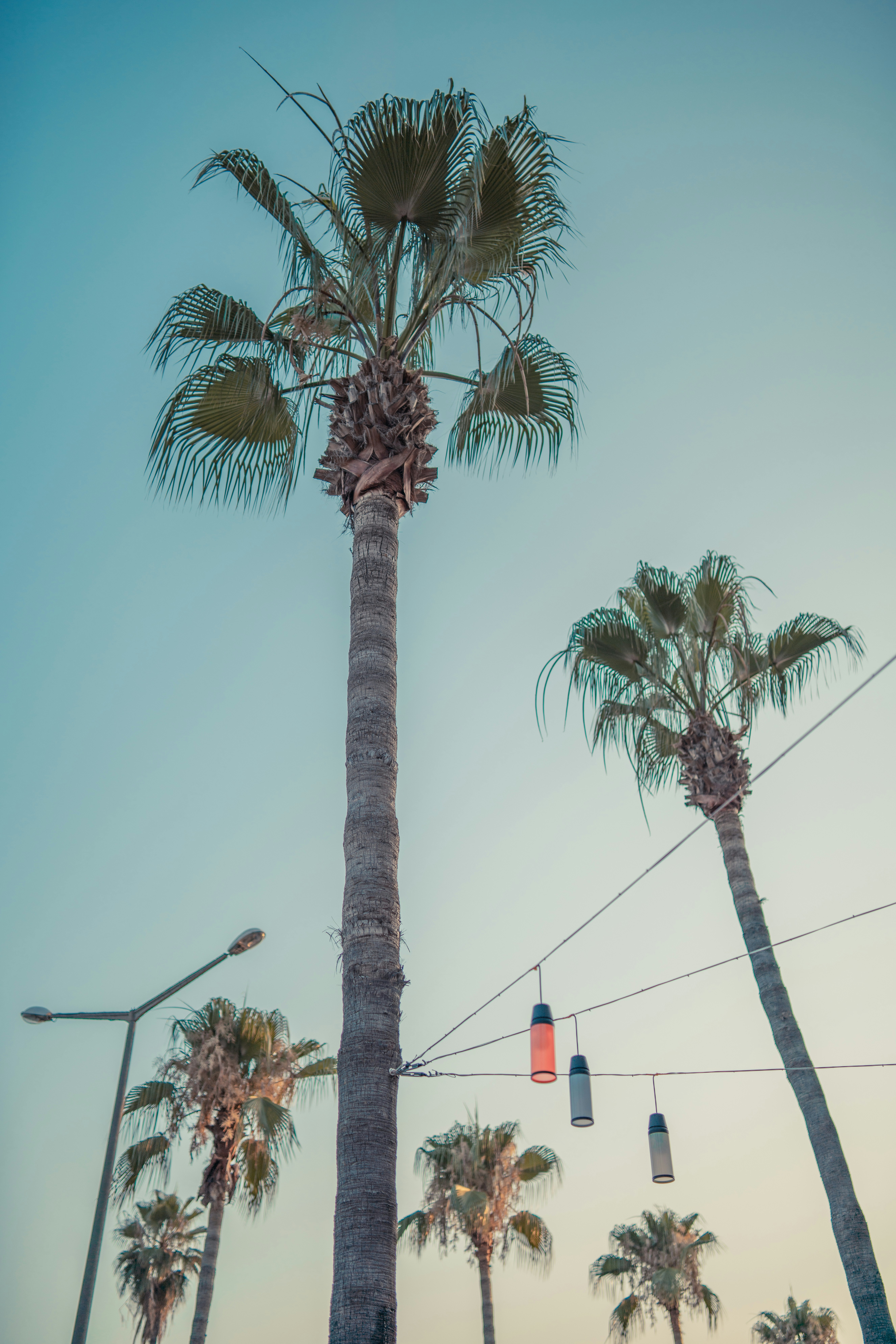 Photo by harissuljic