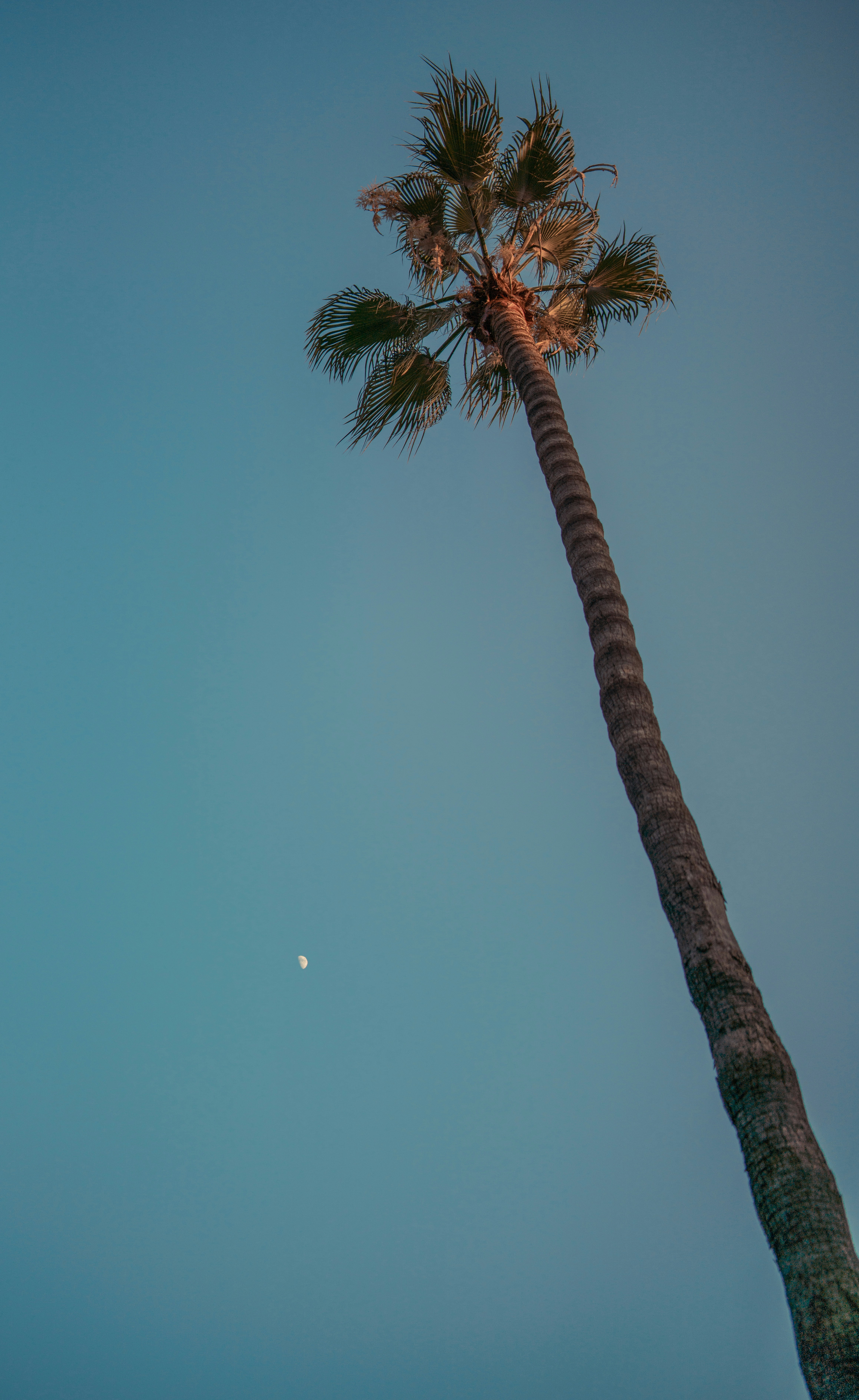 Photo by harissuljic