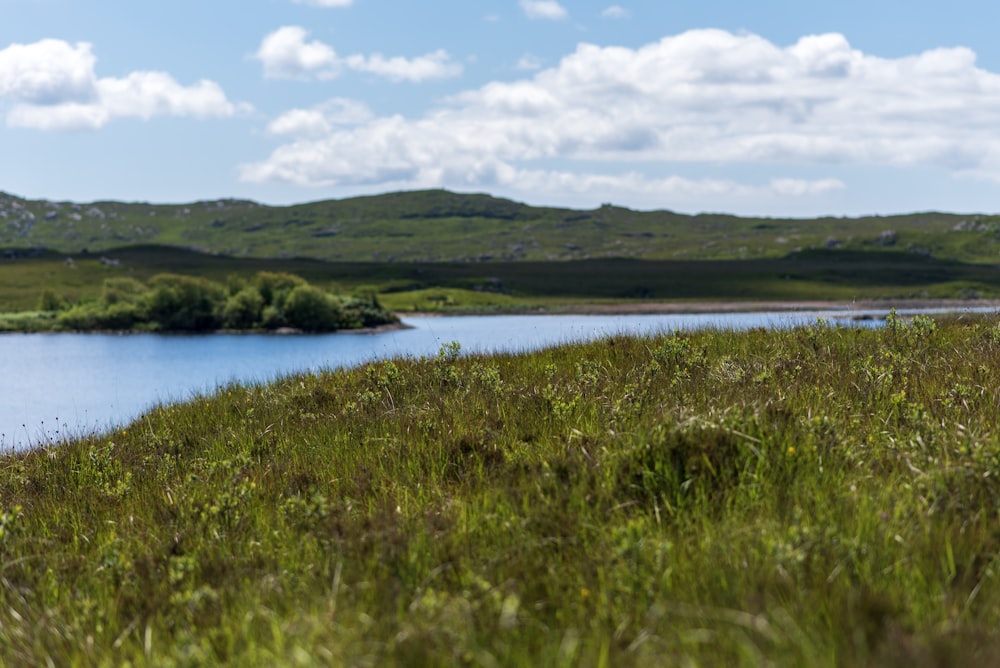 un champ d’herbe avec un plan d’eau en arrière-plan