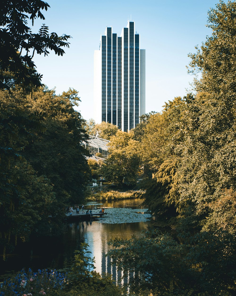 river bank near high-rise building