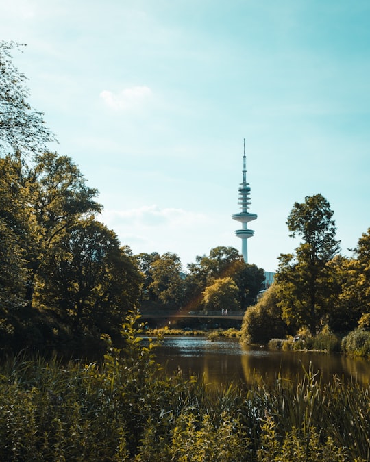 green-leafed trees during daytime in Planten un Blomen Germany