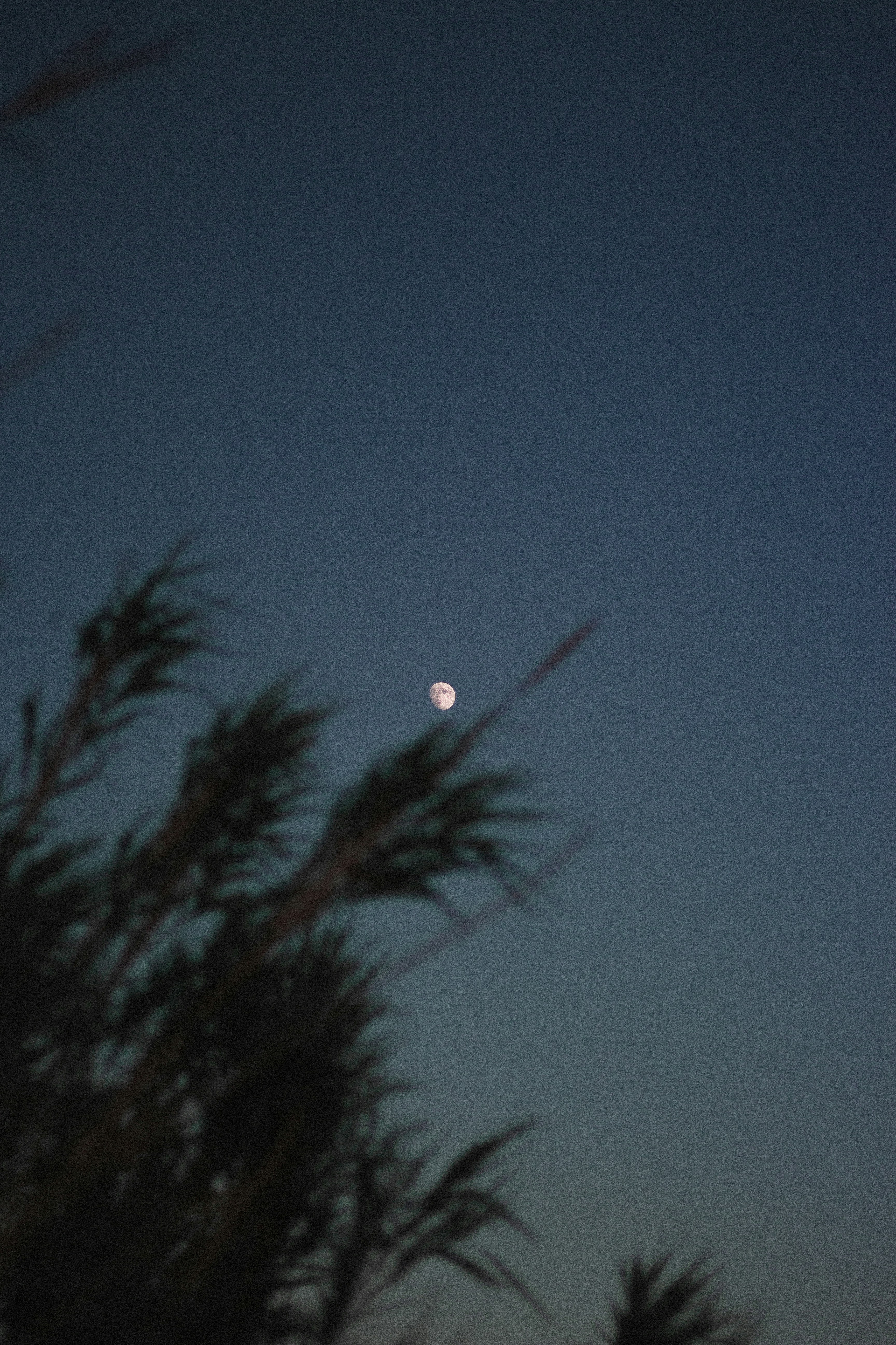 Photo by blrguillaume