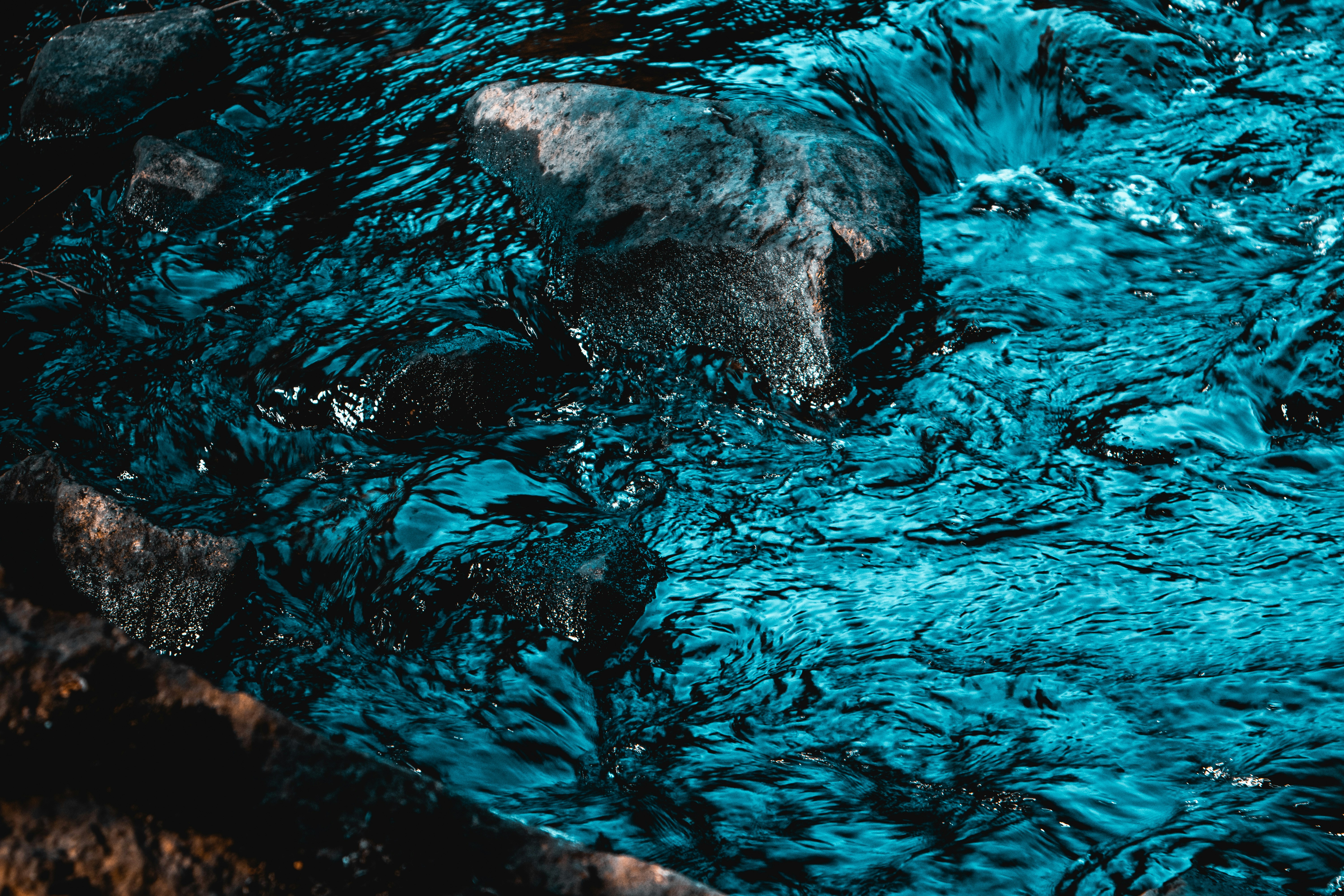 Photo by einfachlaurenz