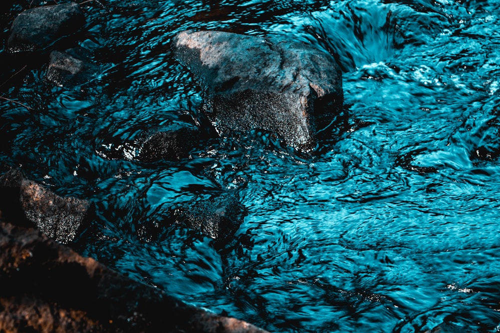 close-up photography of body of water