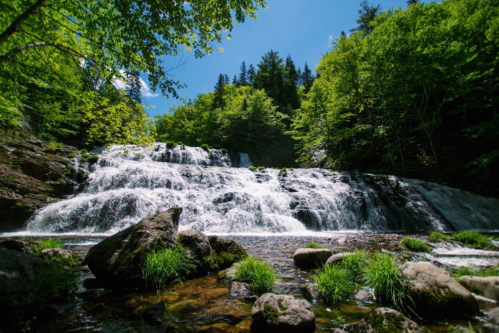 a small waterfall in the middle of a forest