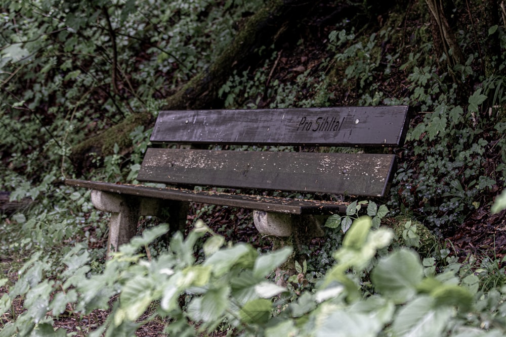 photo of brown and white wooden bench