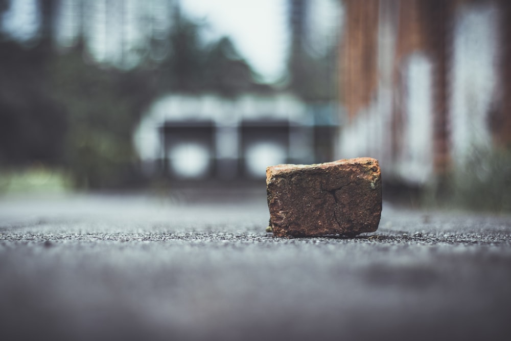 photo of brown brick on gray pavement
