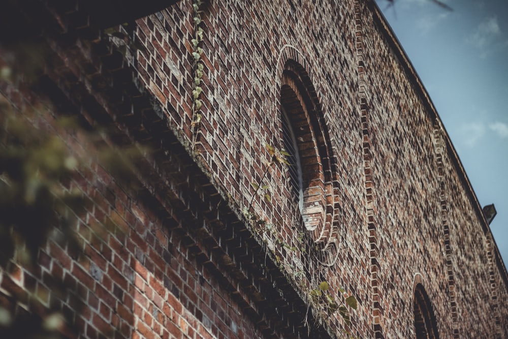 low angle photo of concrete building