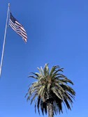 A sunlit Florida beach with palm trees swaying beside a vibrant American flag.