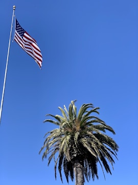 An American flag is flying on a tall flagpole with a clear blue sky in the background. Below the flag, a large palm tree is prominently visible.