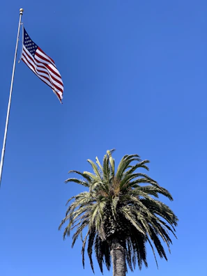 A sunlit Florida beach with palm trees swaying beside a vibrant American flag.