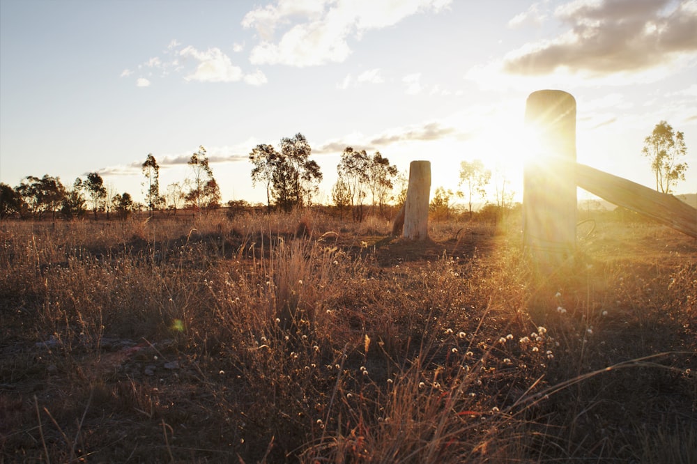 sunset photography