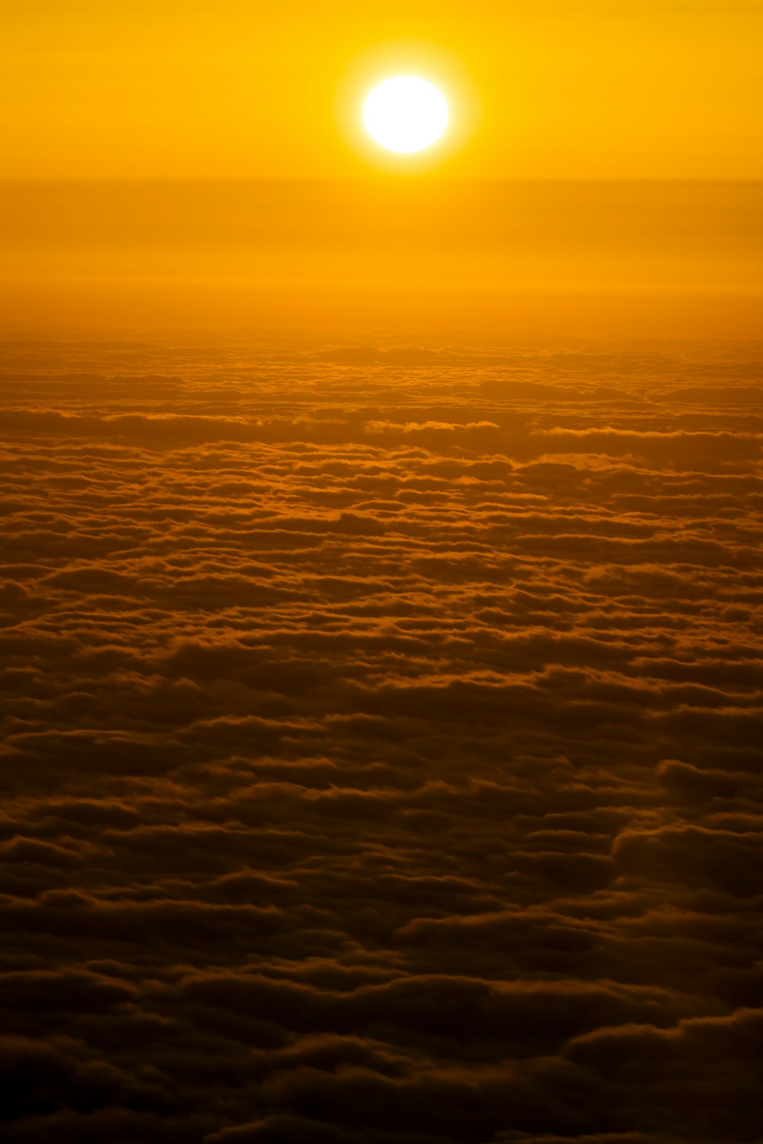 over clouds during golden hour