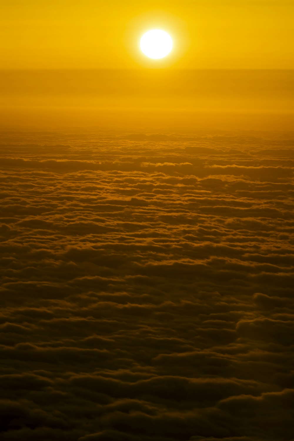 over clouds during golden hour