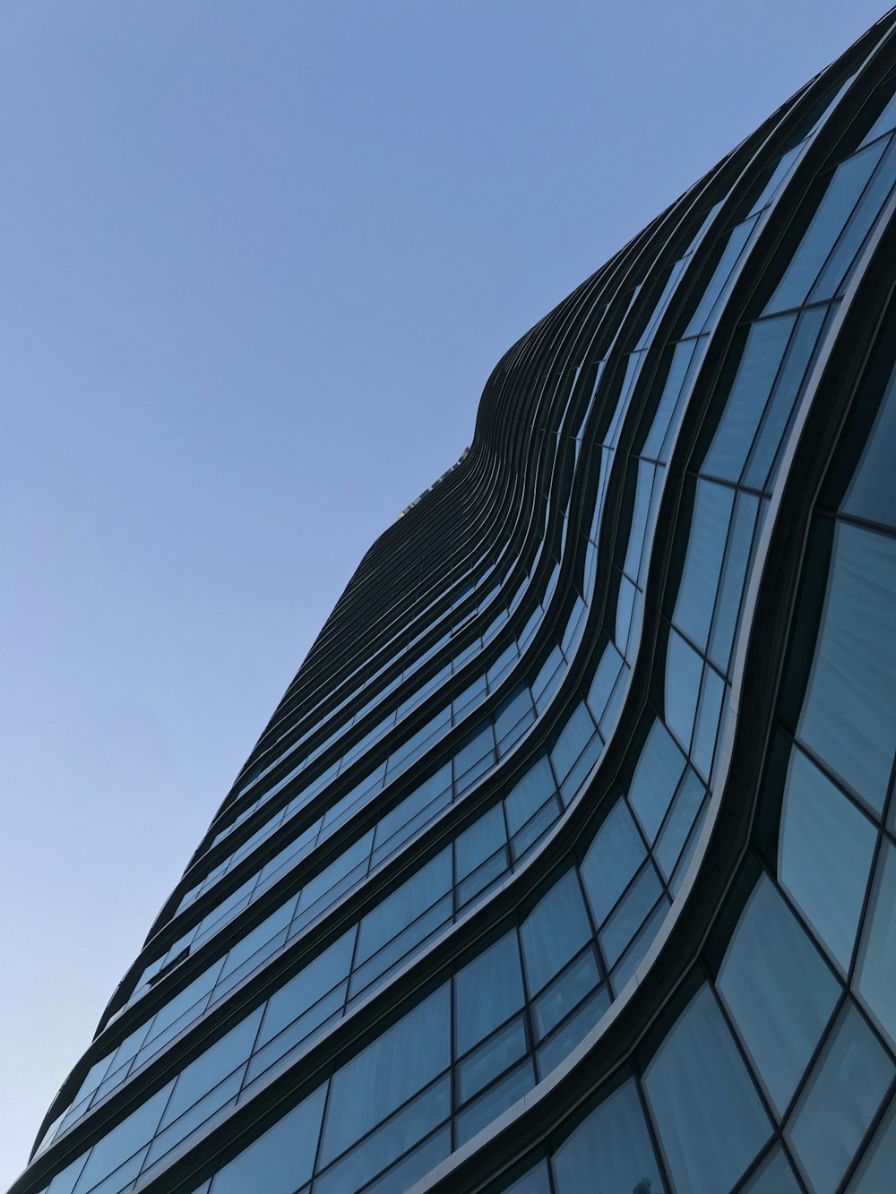 curtain-wall high-rise building under blue sky