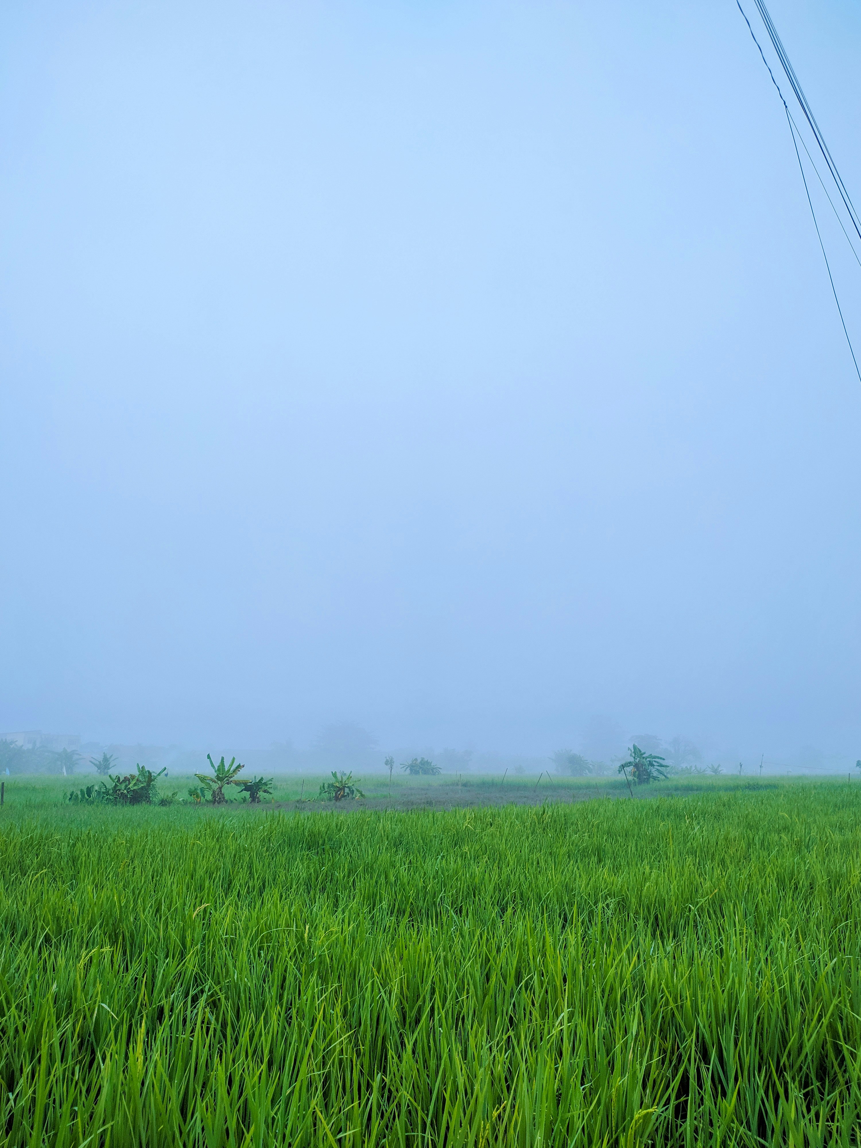 Photo by kurniawankamisaputra