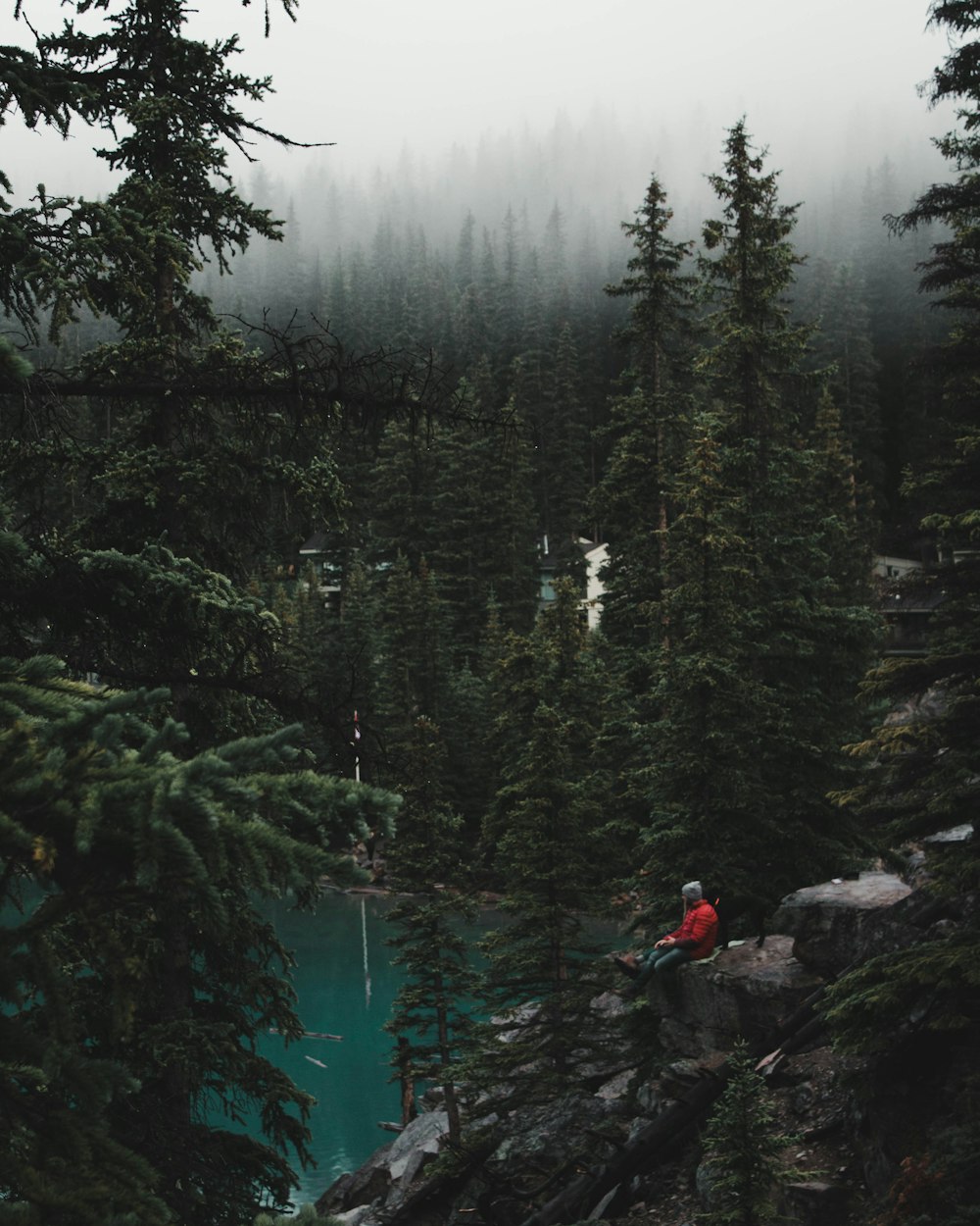 body of water near trees during daytime