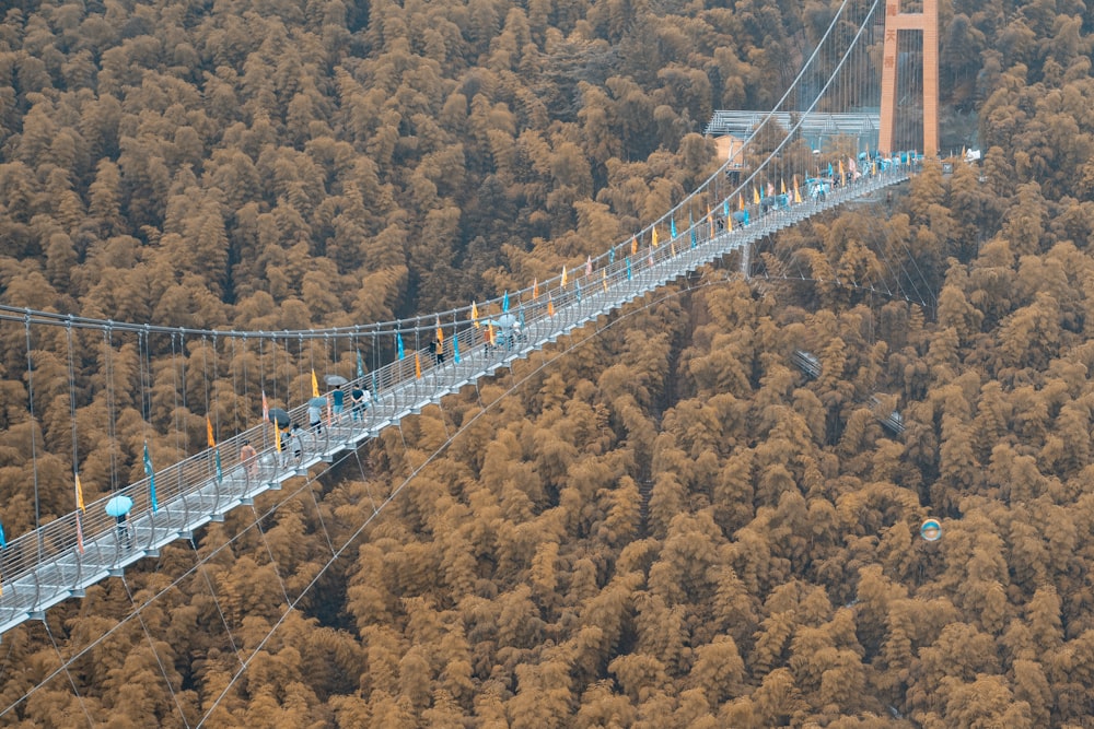 people in bridge over trees