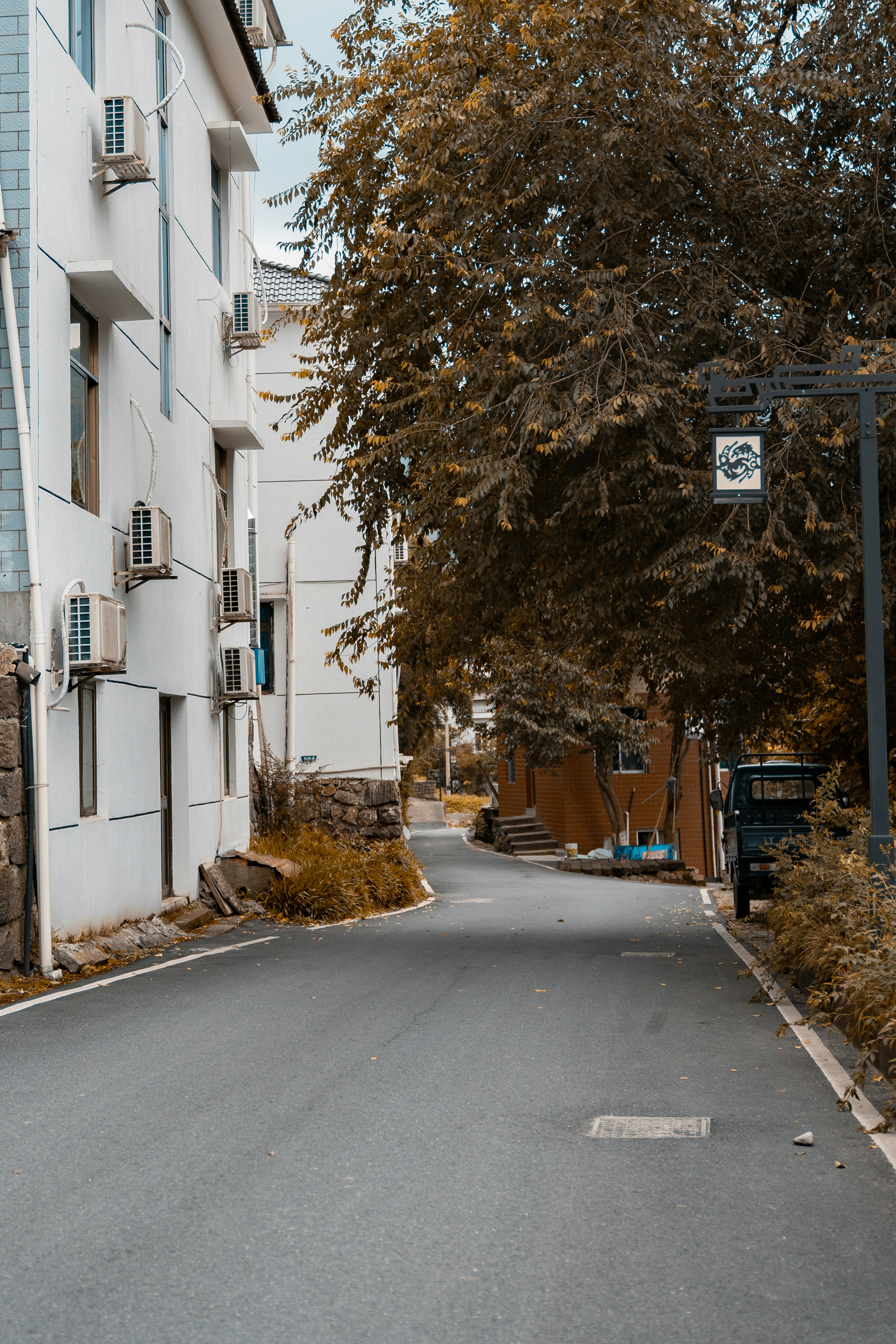 Photo by lzzbest