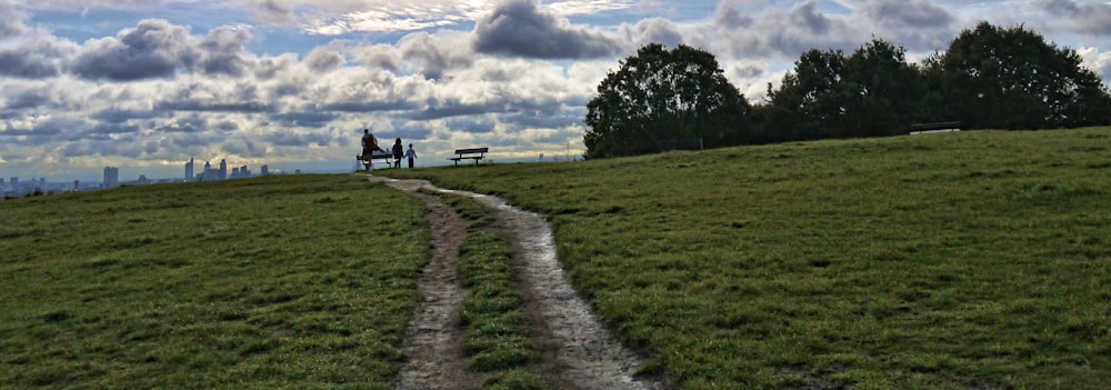 a grassy hill with a path leading to a bench