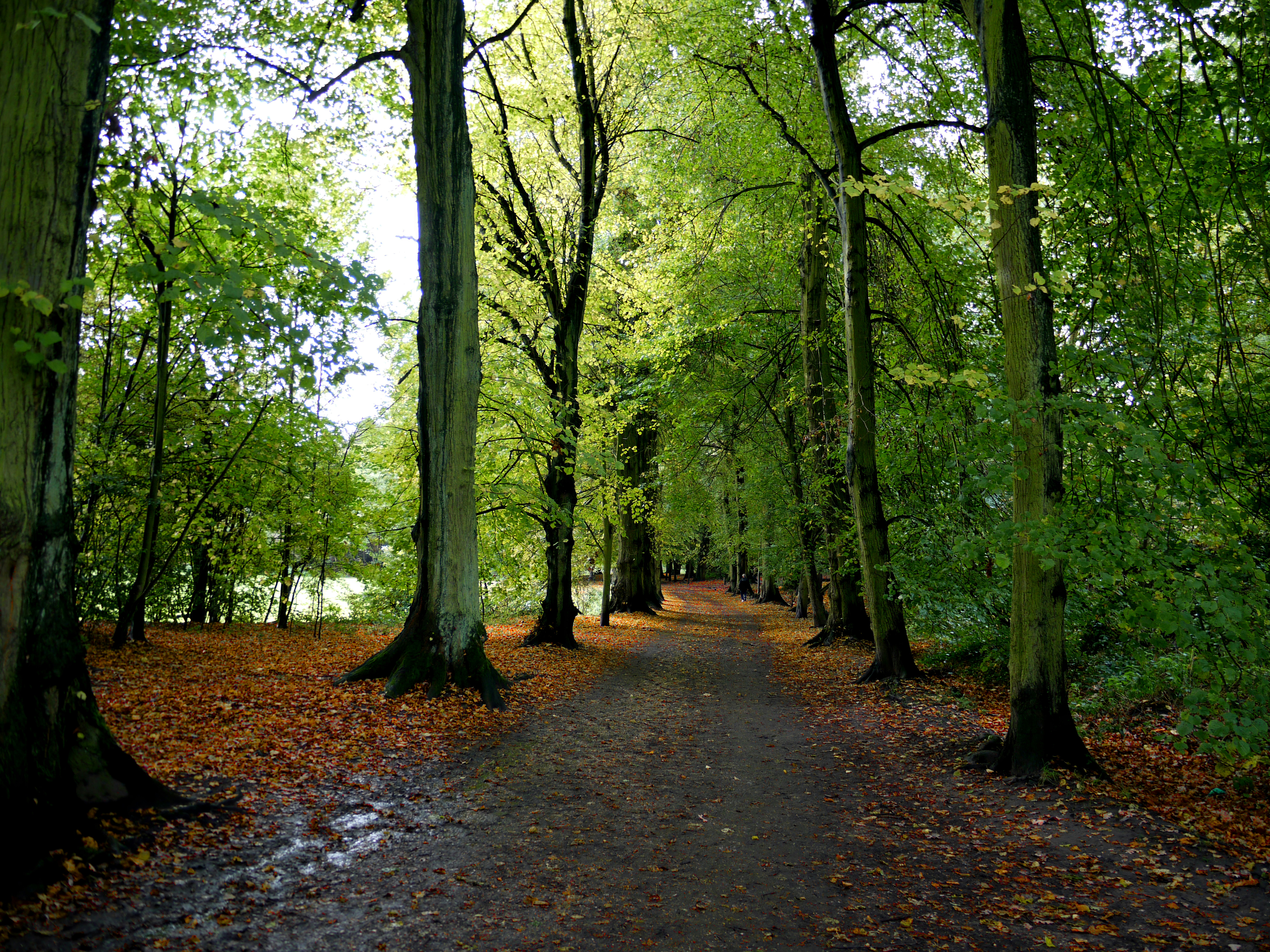 Photo by brett_jordan