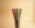 Colorful reusable straws arranged neatly with matching cleaning brushes.