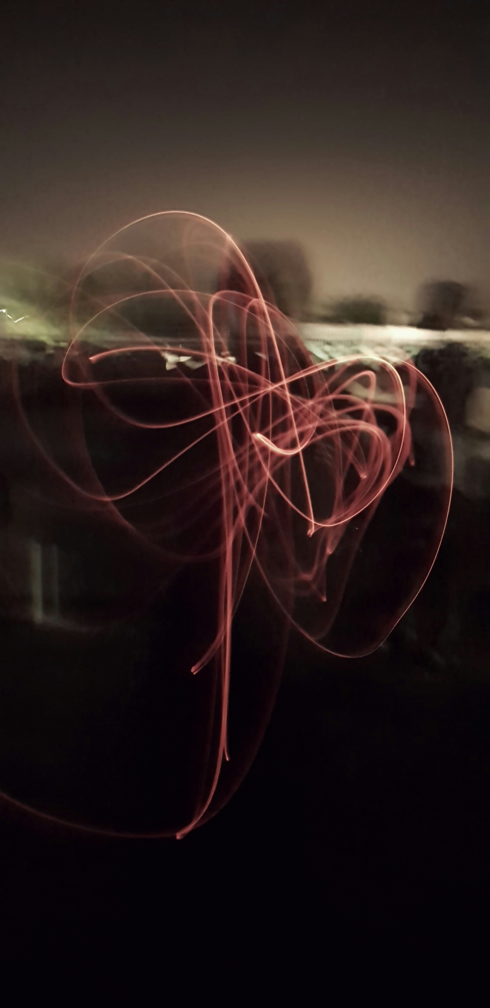 Photo by waqassultan