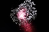 A vivid display of fireworks exploding in the night sky, featuring bright pink and white bursts that create intricate patterns against the dark background. The scene captures the intensity and beauty of a pyrotechnic display.