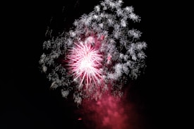 A vivid display of fireworks exploding in the night sky, featuring bright pink and white bursts that create intricate patterns against the dark background. The scene captures the intensity and beauty of a pyrotechnic display.