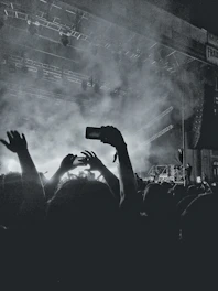people in concert