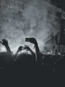 people in concert
