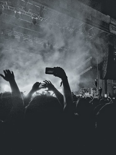 people in concert