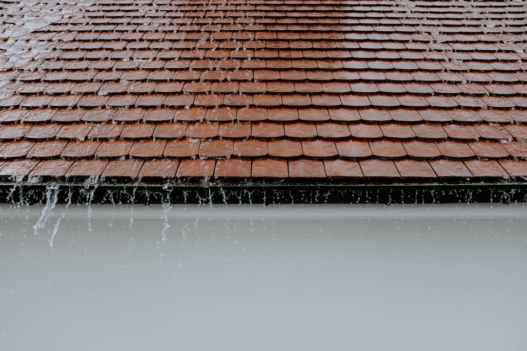 brown shingle roof