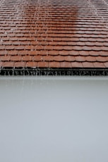 rain water on roof