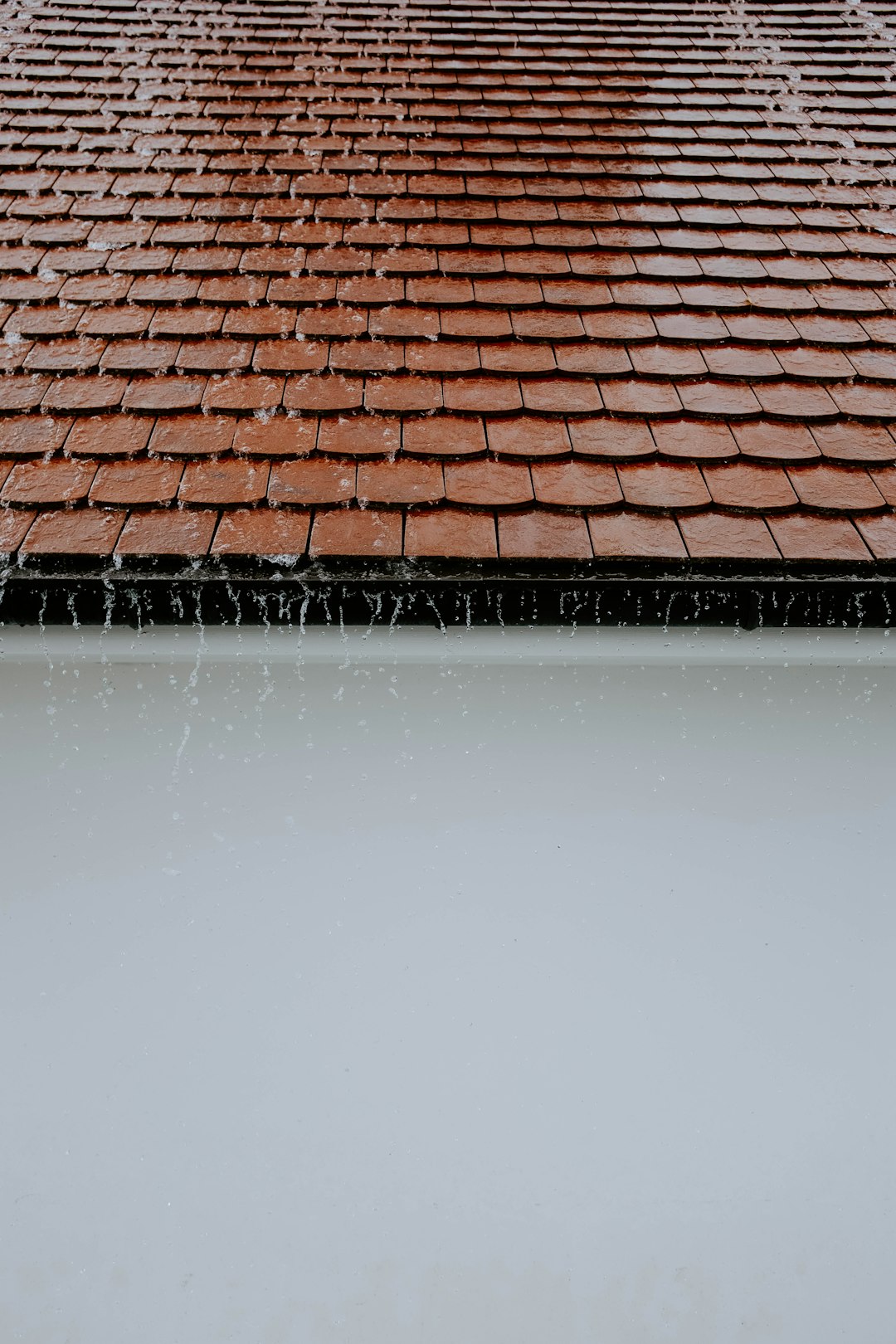  rain water on roof roof