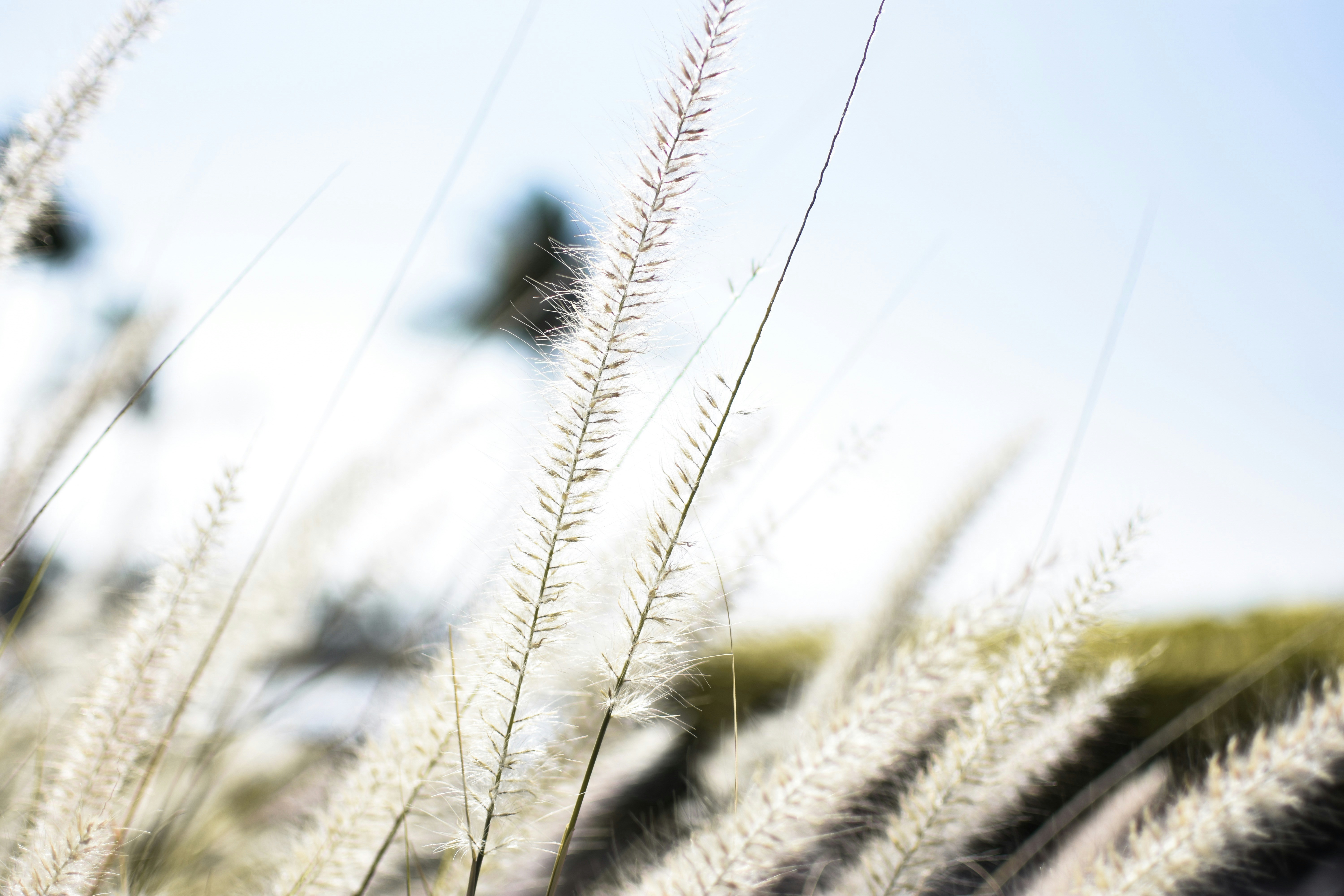 Photo by kotafeliciano