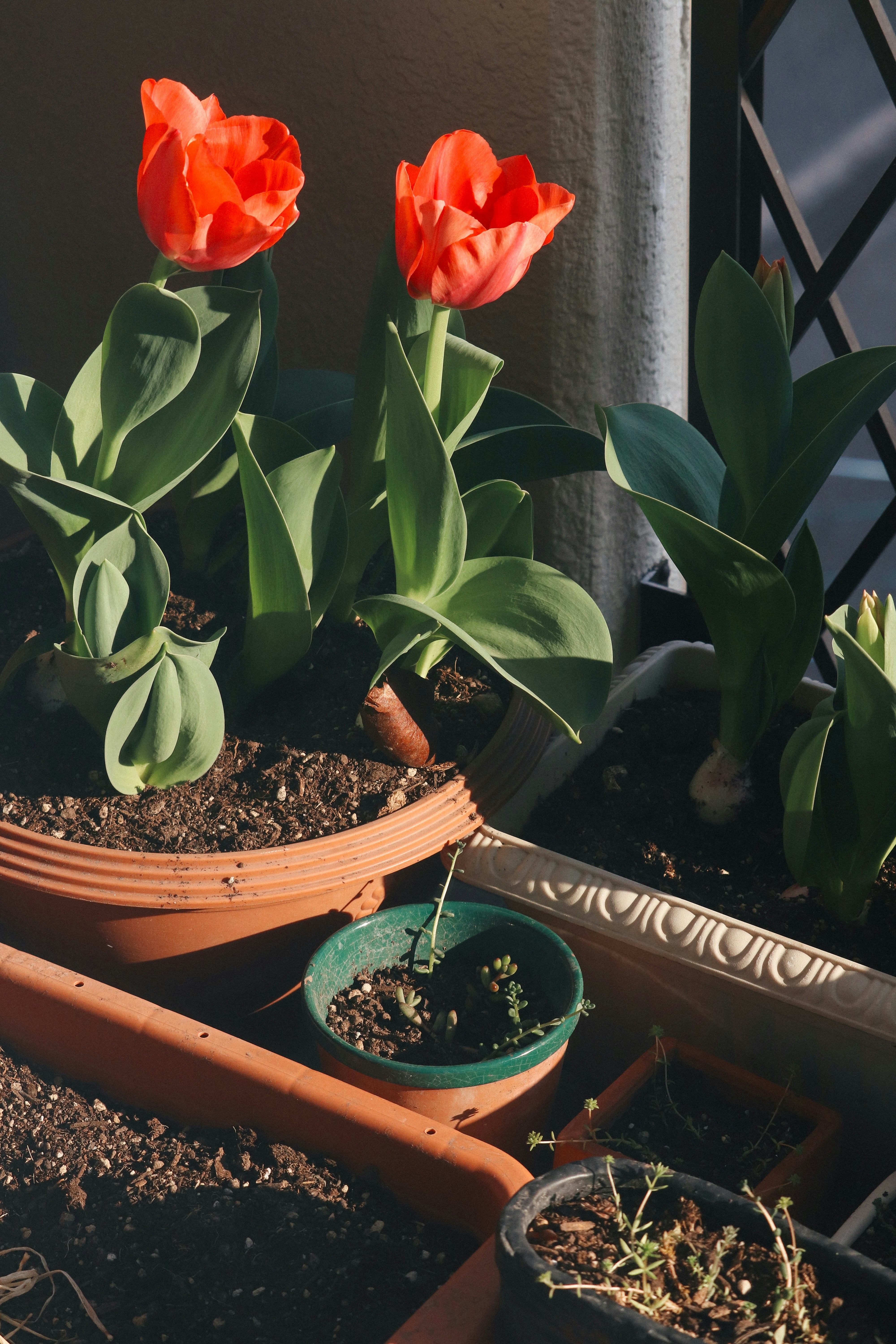 Choosing the Right Containers for Small Spaces