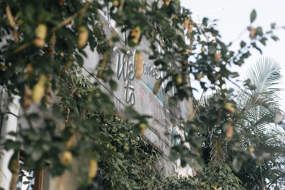 a street sign surrounded by greenery on a building