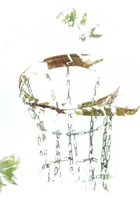 A disc golf basket is partially hidden, surrounded by lush green leaves, giving a sense of being intertwined with nature.