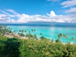 a view of a tropical island with palm trees