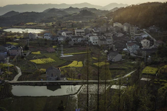 A serene rural landscape showing fields and traditional clay pots used for storing organic honey and mustard oil.