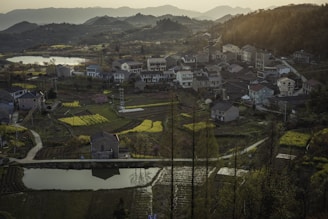 A quiet, sunlit field with a small cluster of traditional homes nestled among trees, evoking a sense of belonging and heritage.