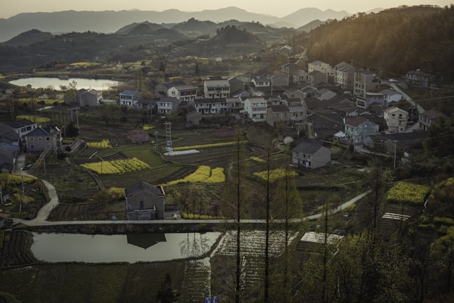A quiet, sunlit field with a small cluster of traditional homes nestled among trees, evoking a sense of belonging and heritage.