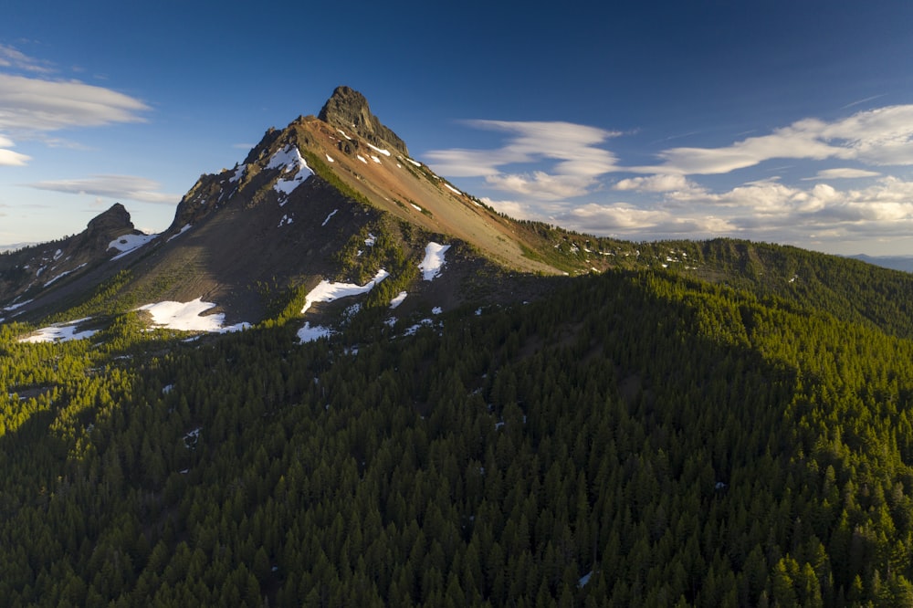 tree cover mountain