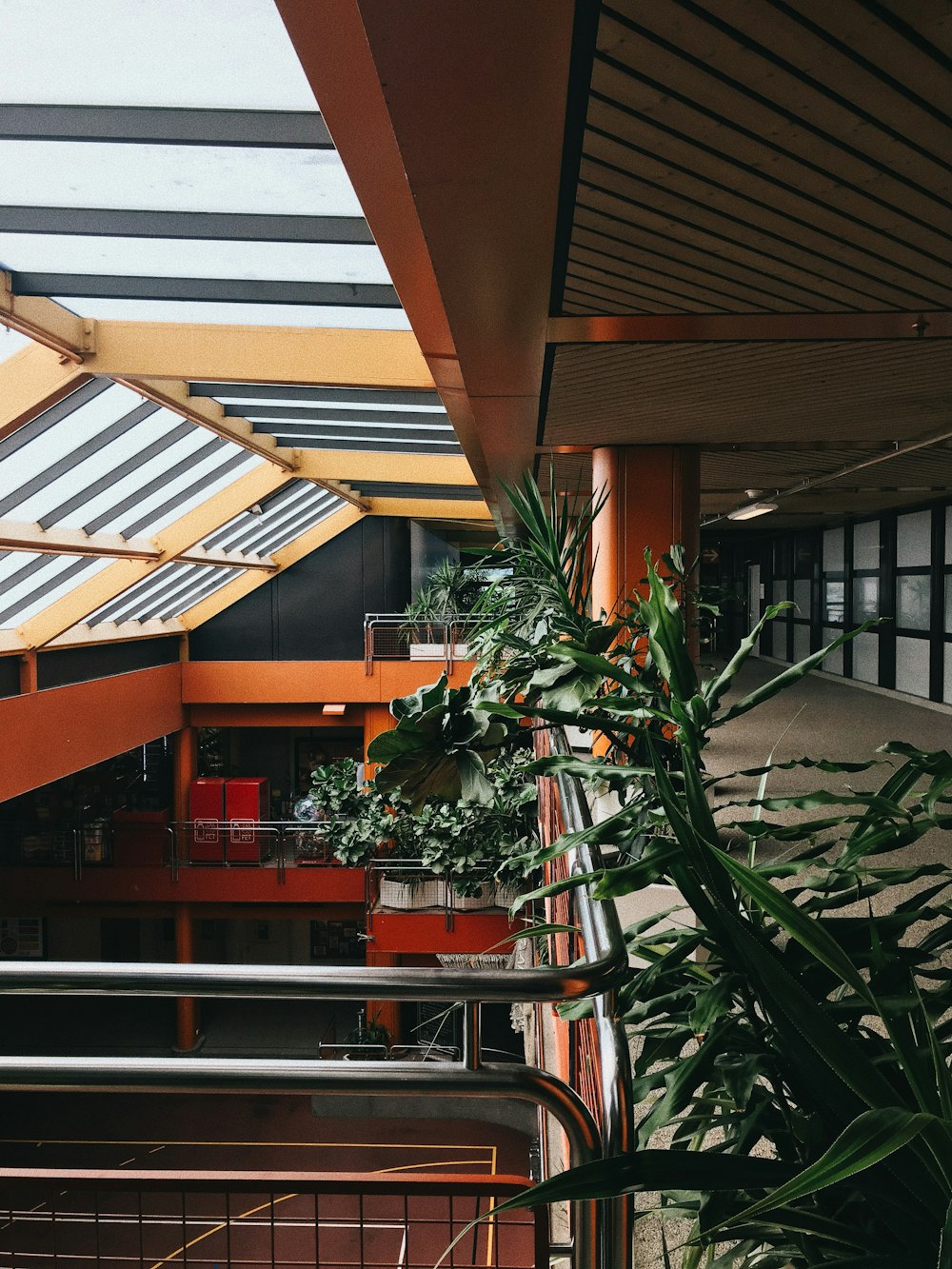 green leafed plants by the terrace of a building