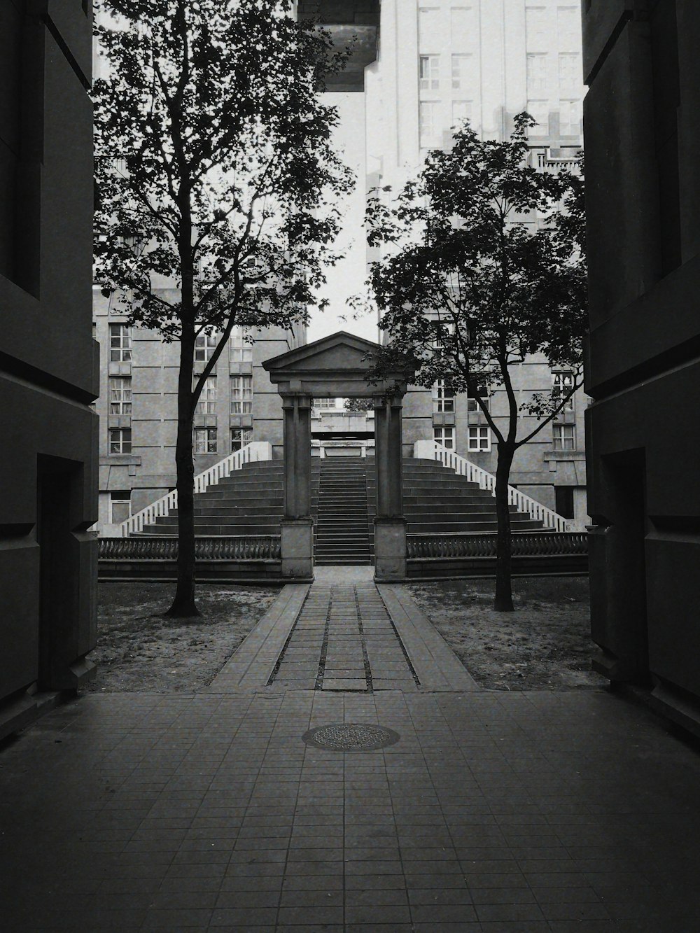 grayscale photography of trees and structure