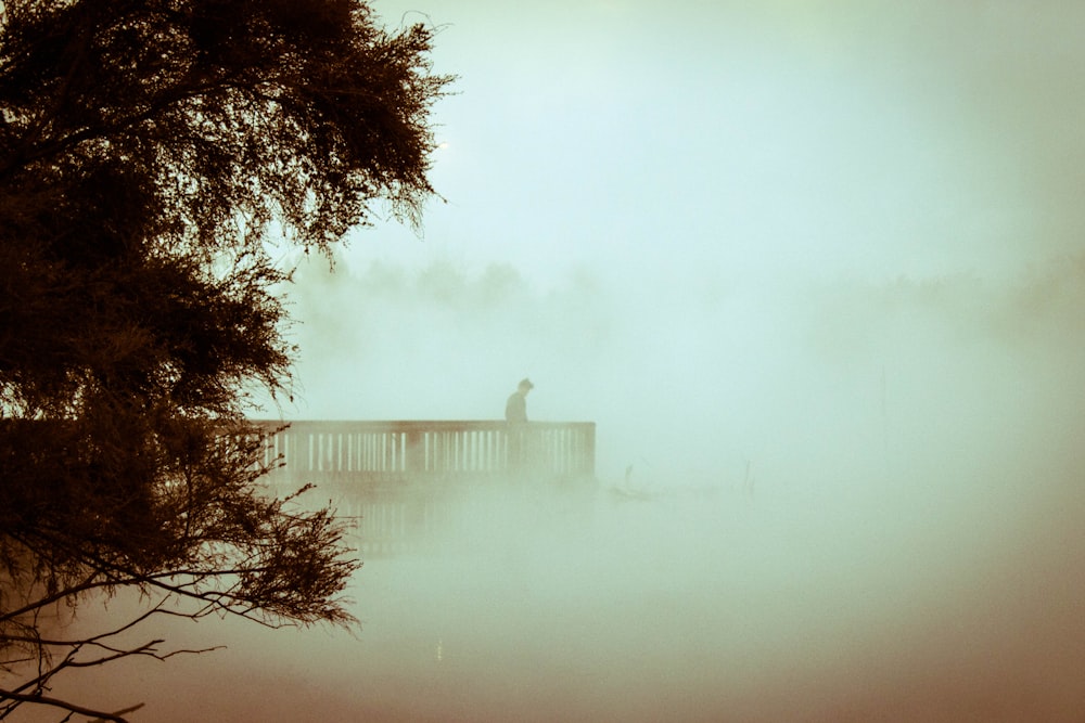 person standing beside railing and near tree