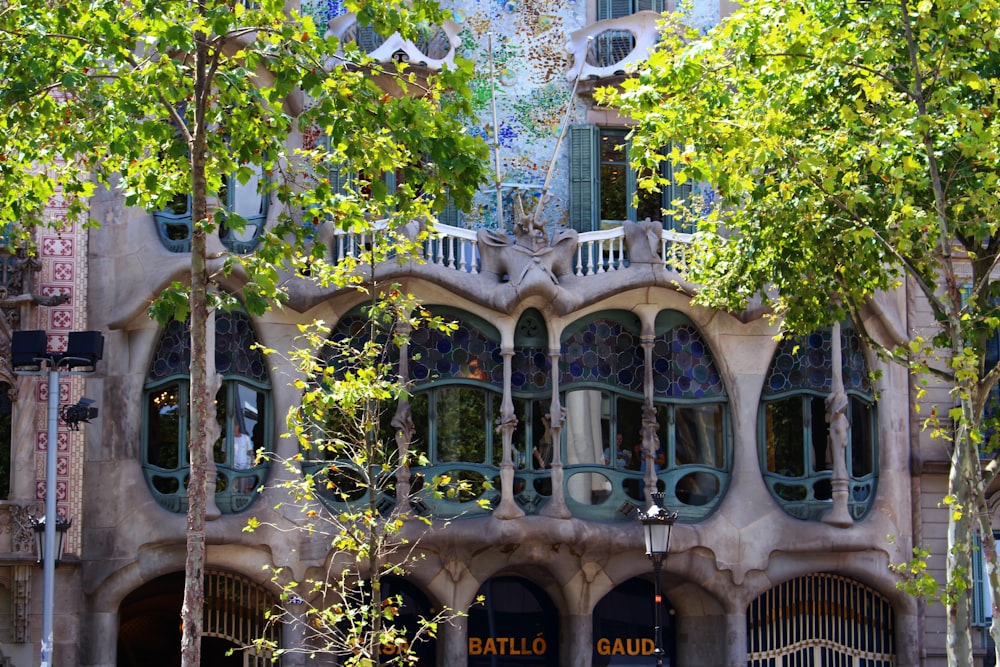 gray building beside trees